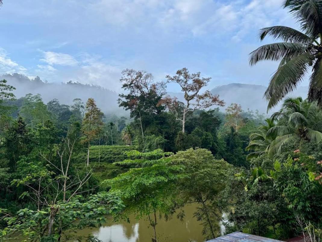 Sinharaja Vini Villa Deniyaya Exterior foto