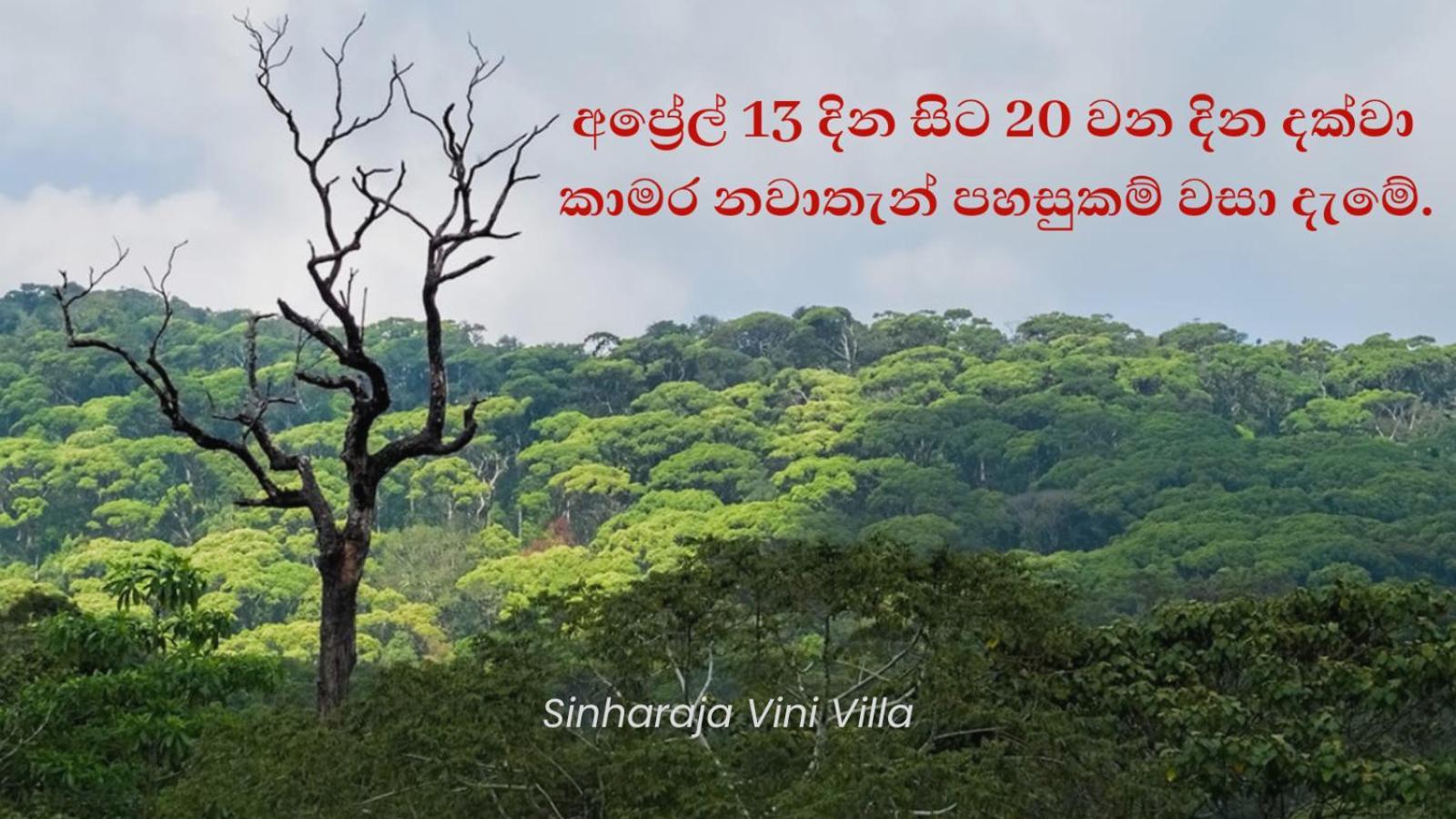Sinharaja Vini Villa Deniyaya Exterior foto